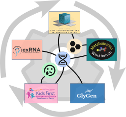 Playbook Workflow Builder