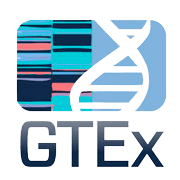 Genotype Tissue Expression