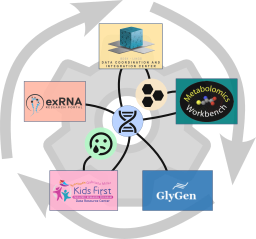 Playbook Workflow Builder