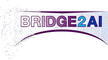 Bridge2AI Logo