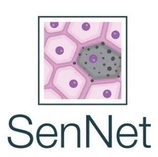 SenNet Logo