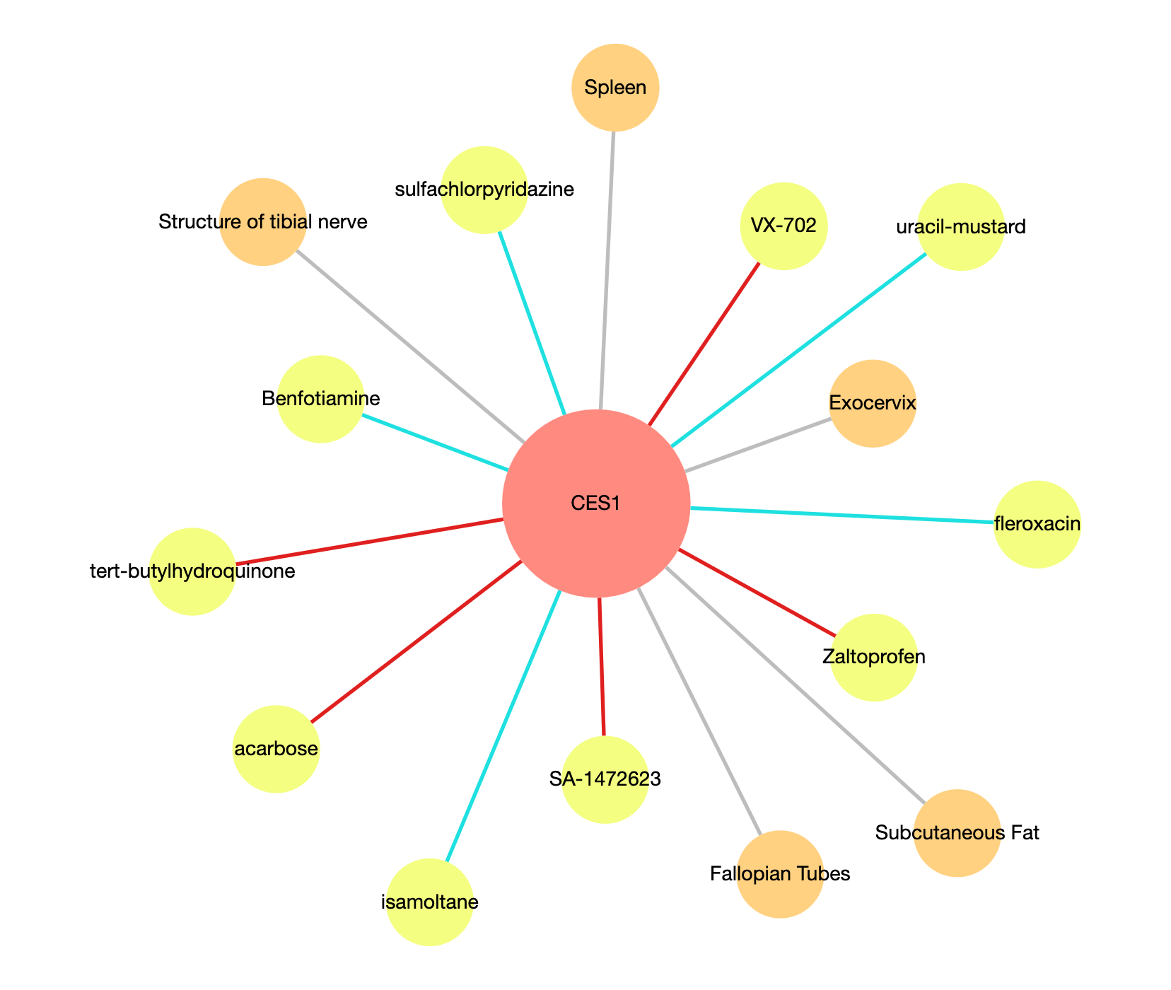 CES1 Use Case