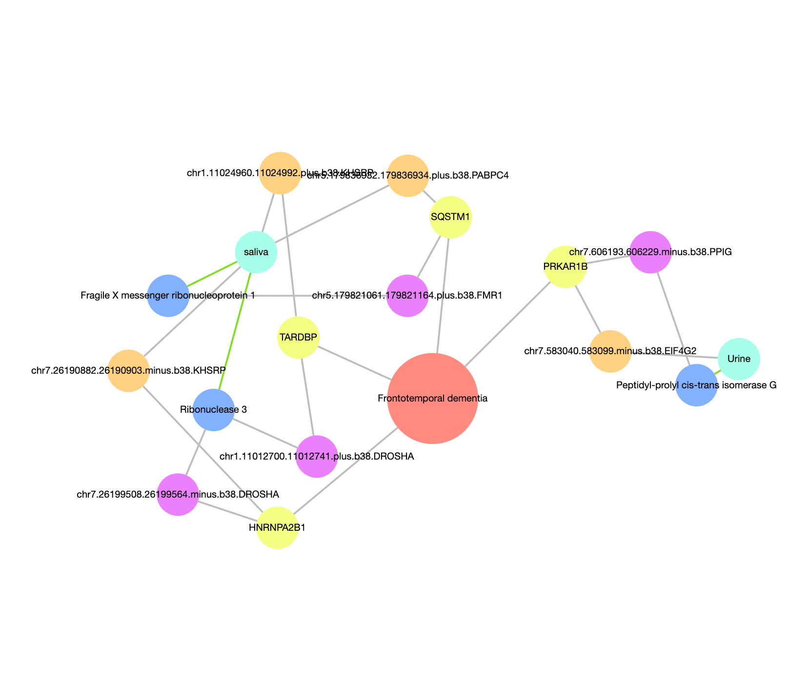 Frontotemporal Dementia Use Case