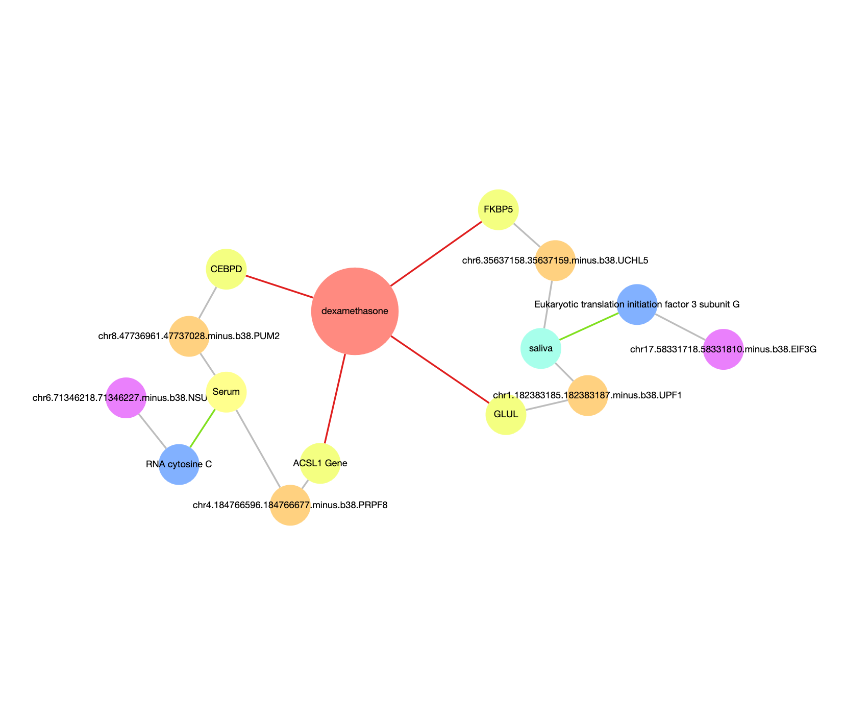 Liquid Biopsy of Dexamethasone Response